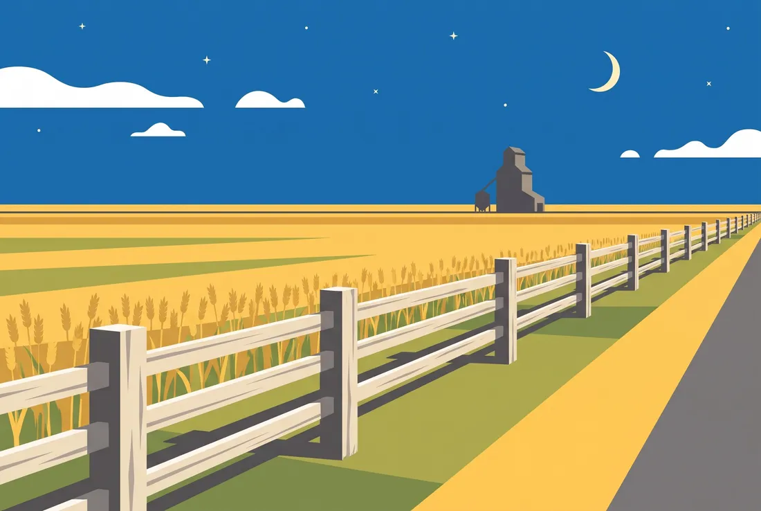 Wheat field and grain elevator under a night sky